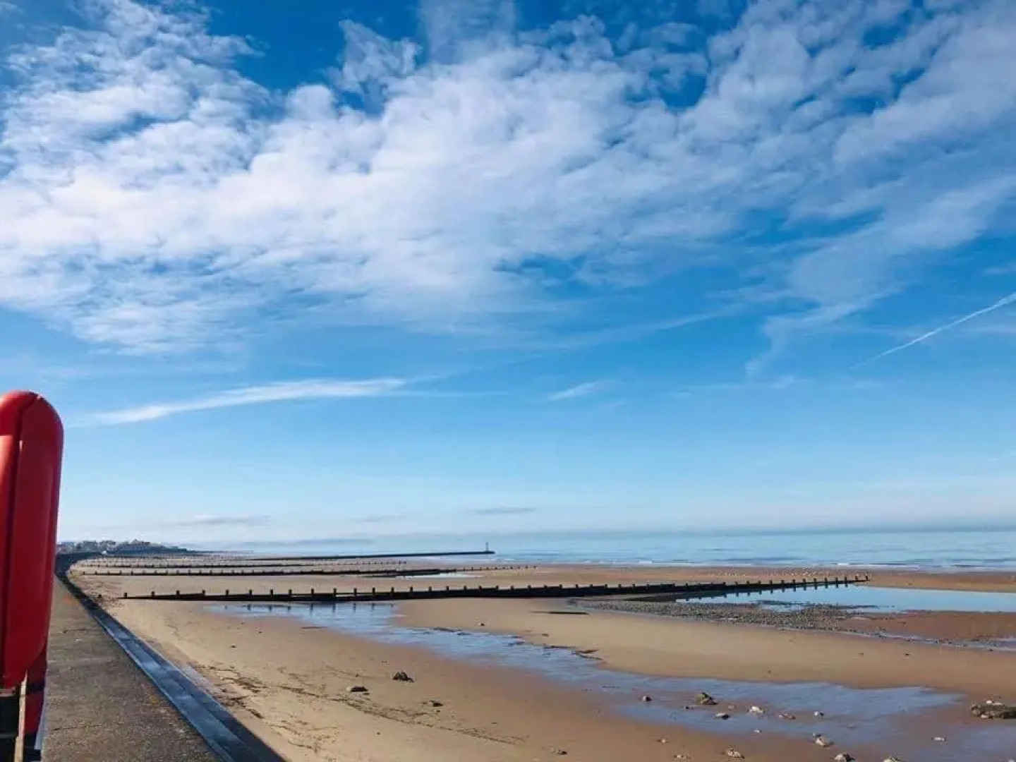 Lyons Robin Hood, Savannah