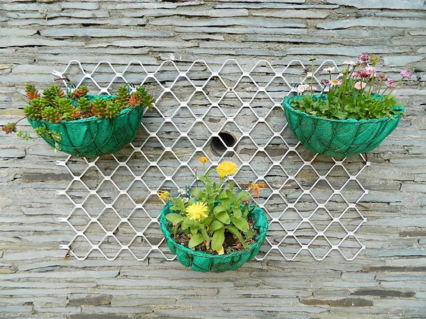 The Woodstock Resort