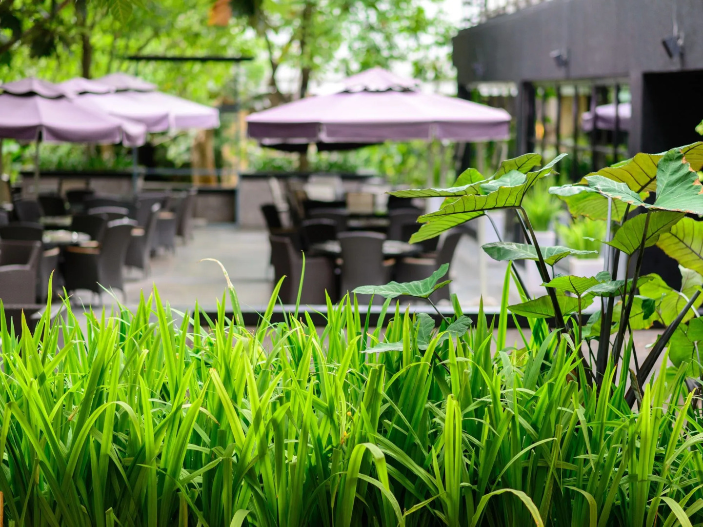 The Greenery Resort Khao Yai