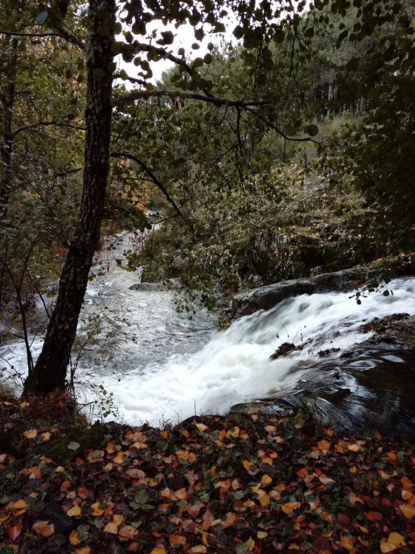 Casas Rurales Prunus Avium