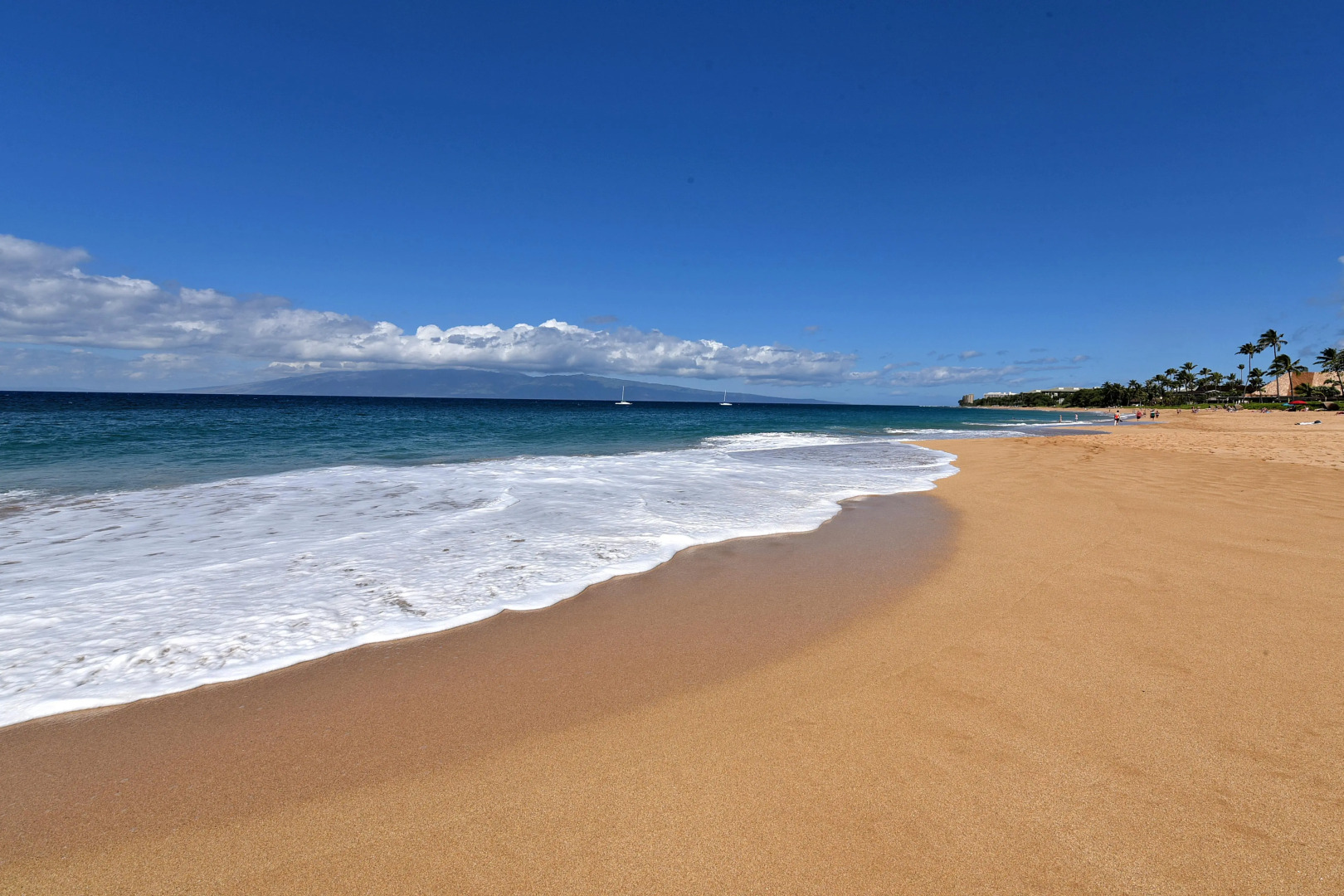 Eldorado K203 in Lahaina