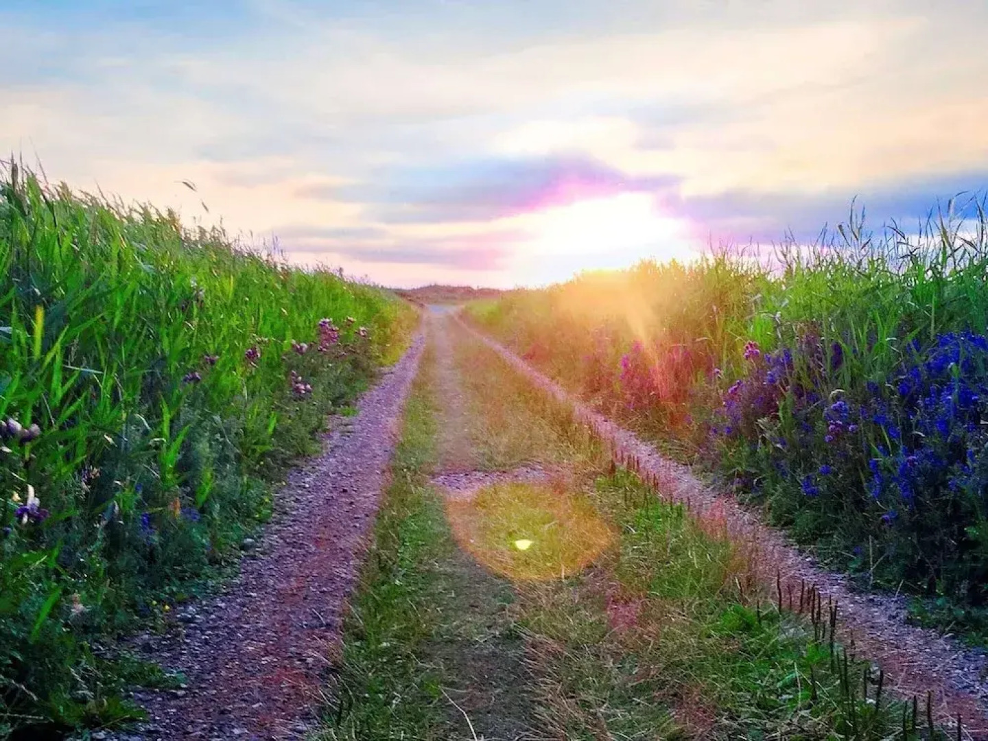 6 Person Holiday Home in Romo