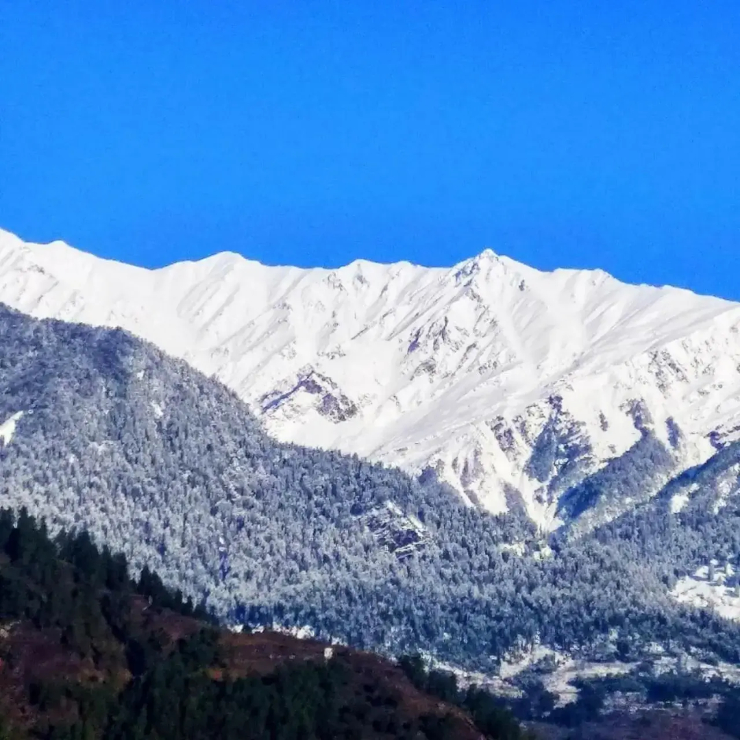 Soham's Chateau De Naggar