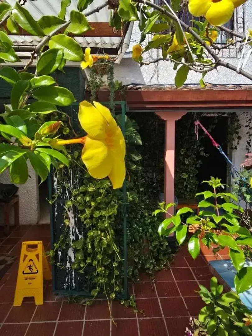 Tatami Hostel
