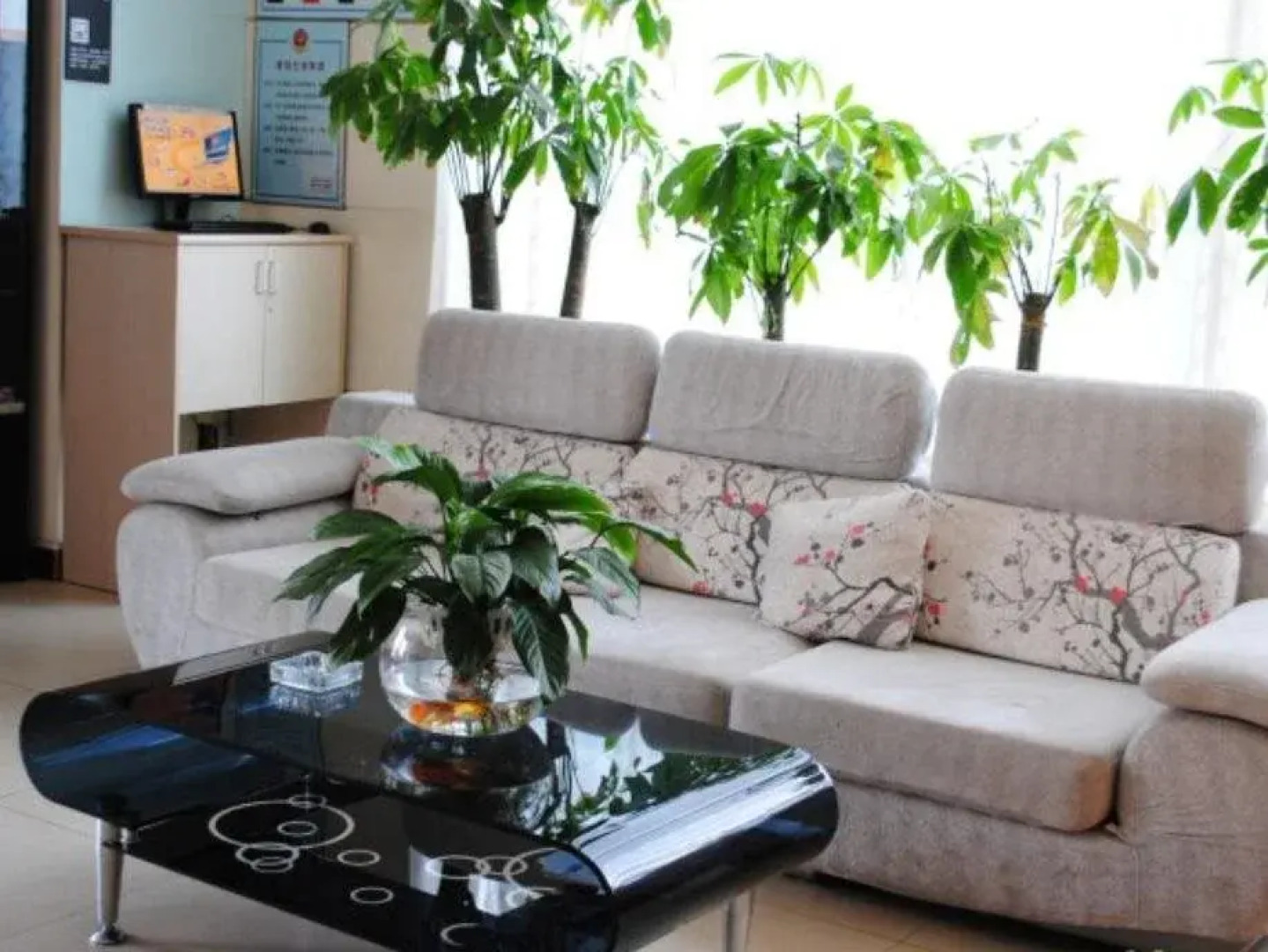 7Days Inn Shijiazhuang West Heping Road