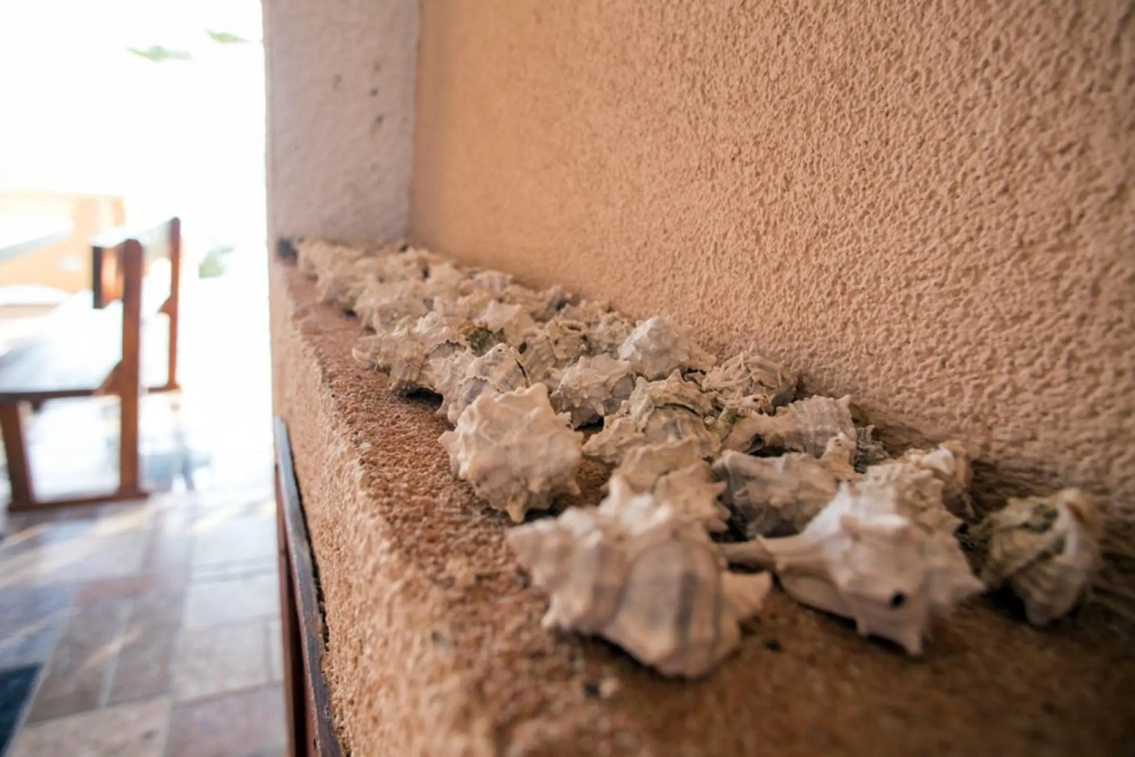 Irena - 100m From the sea - A4 Veliki Prvi kat