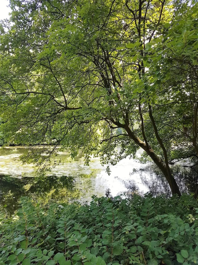 Ferienwohnung City Am Wall