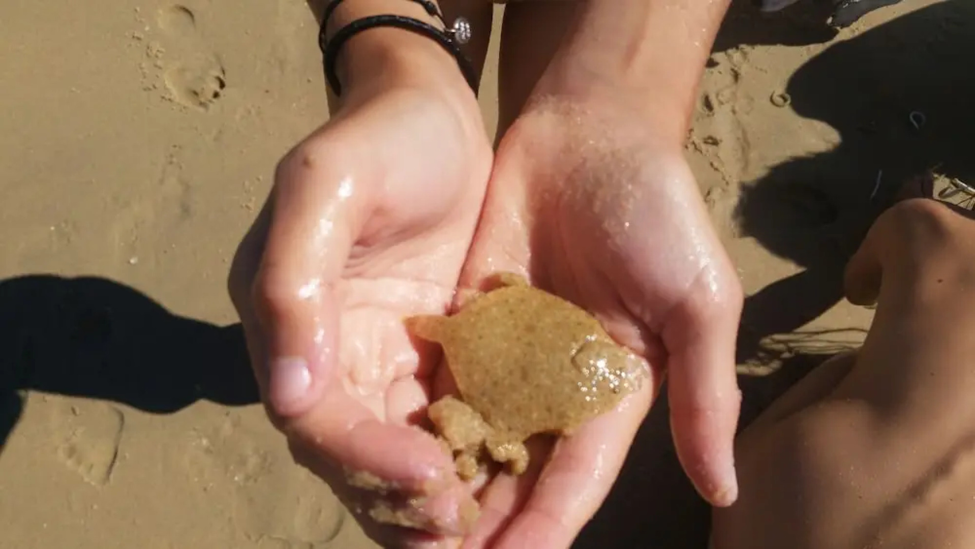 La Jenny, Naturist Resort