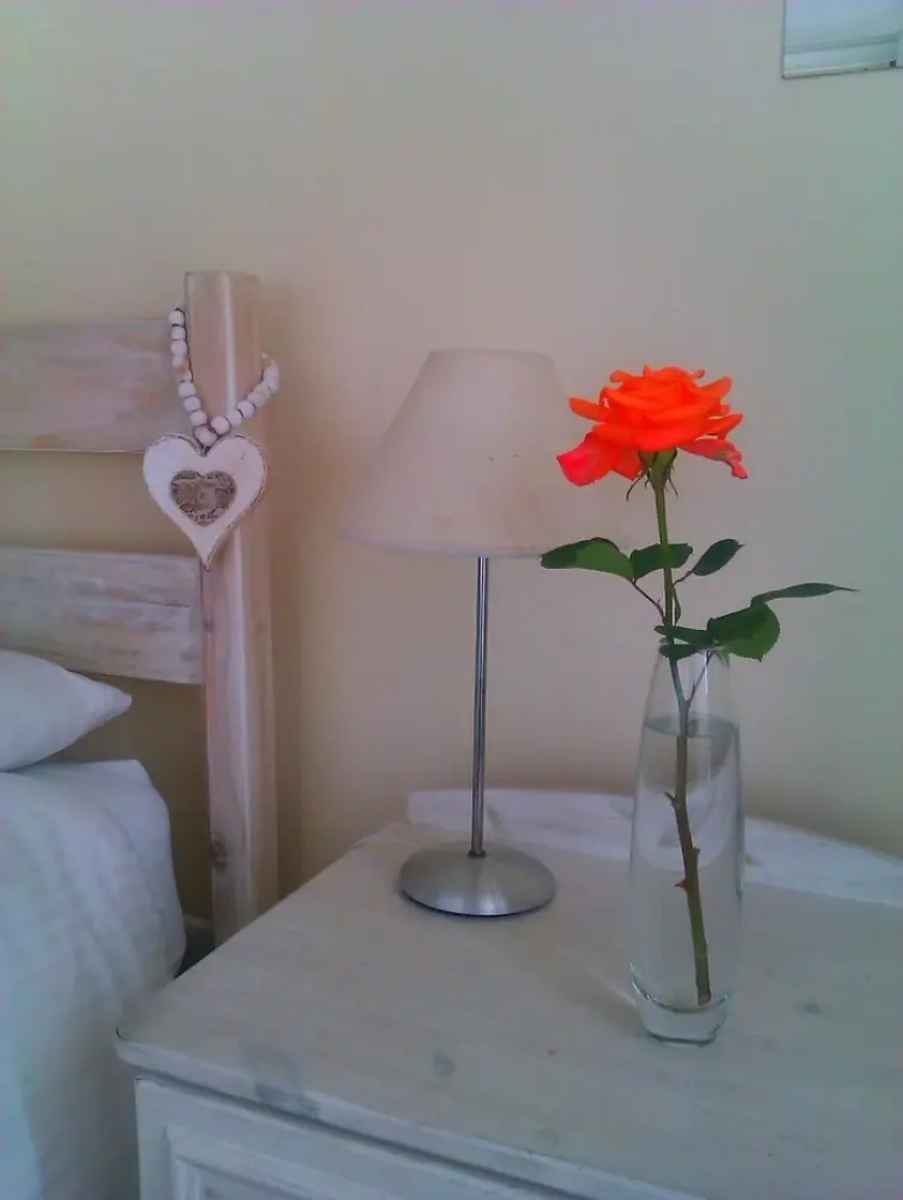 Nells B&B