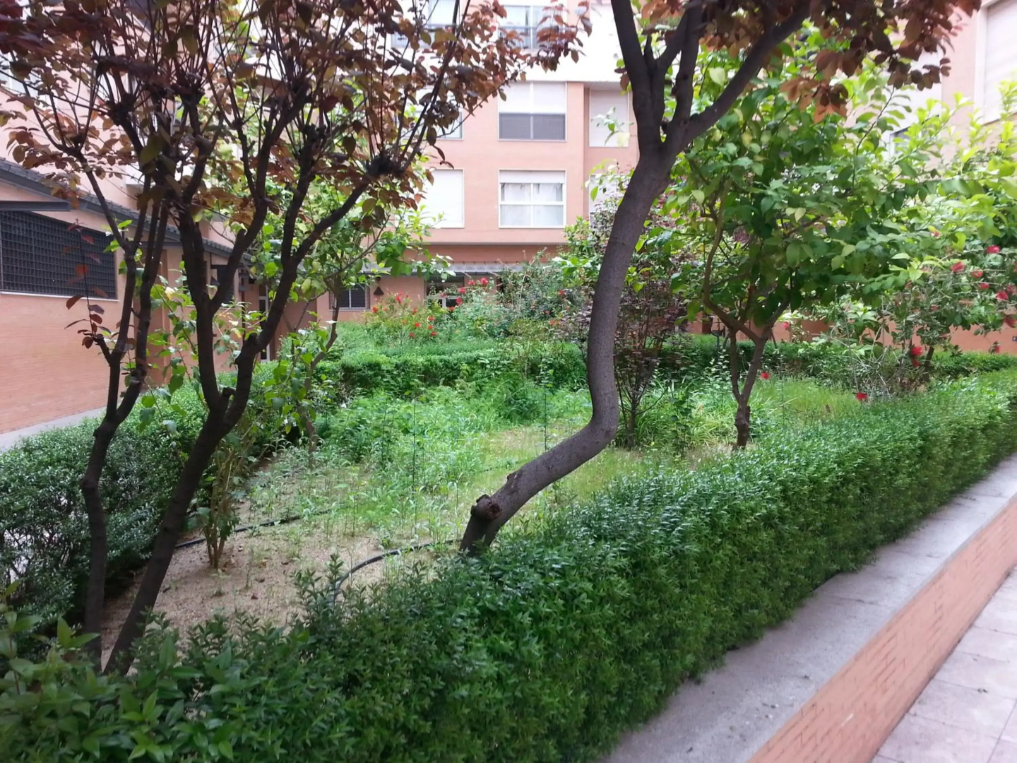 Apartamento Buhaira