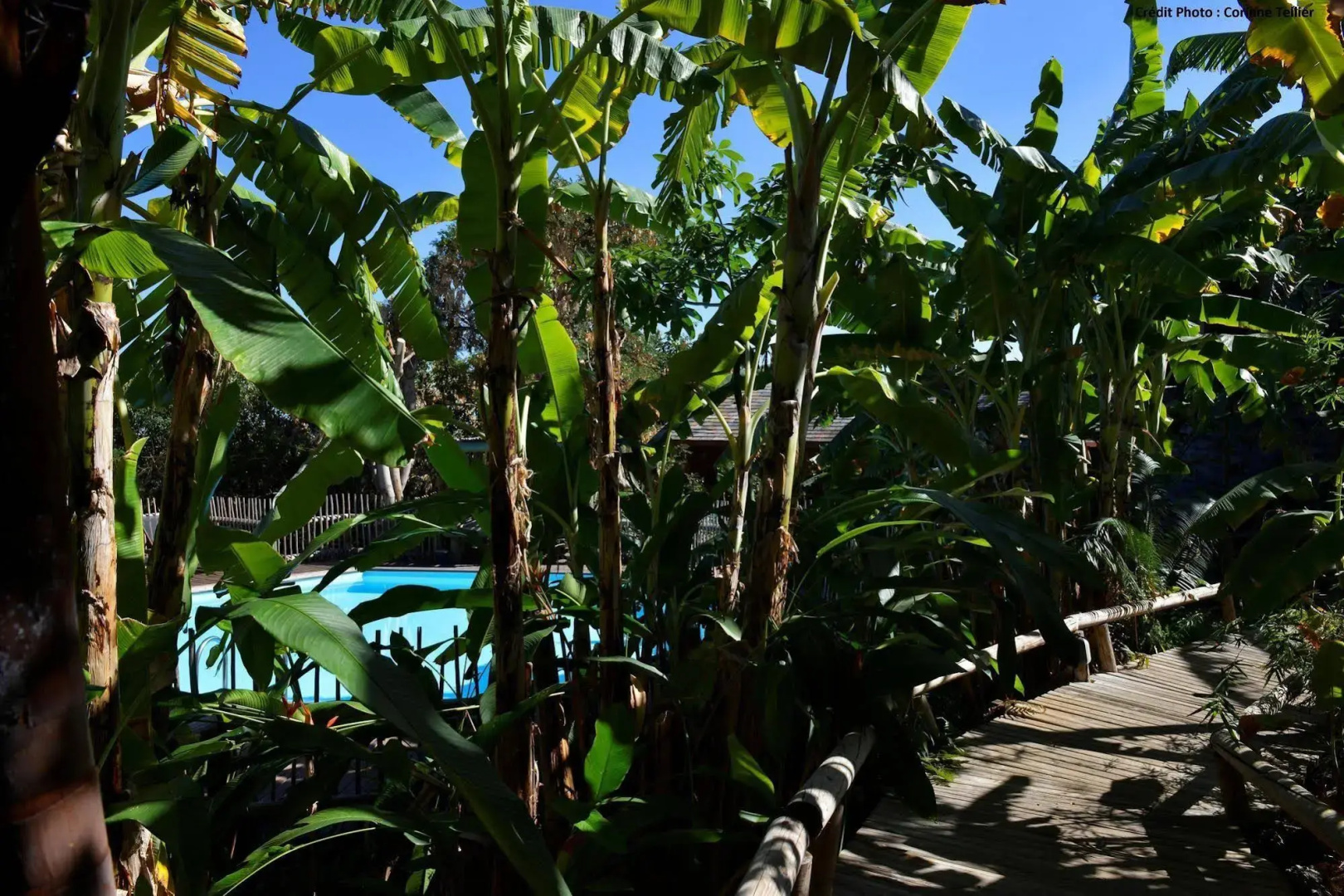 Lodge Roche Tamarin