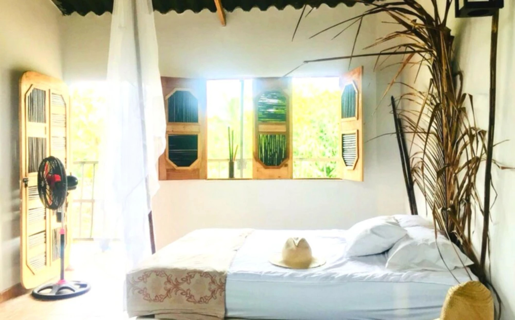 Palomino Hostel by T2L