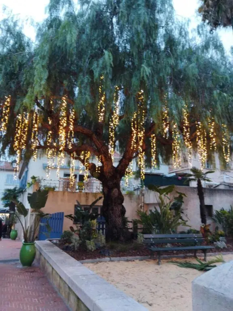 Sanary sur Mer Appartement 30m2 T2 avec terrasse Piscine 10min à pied de la plage