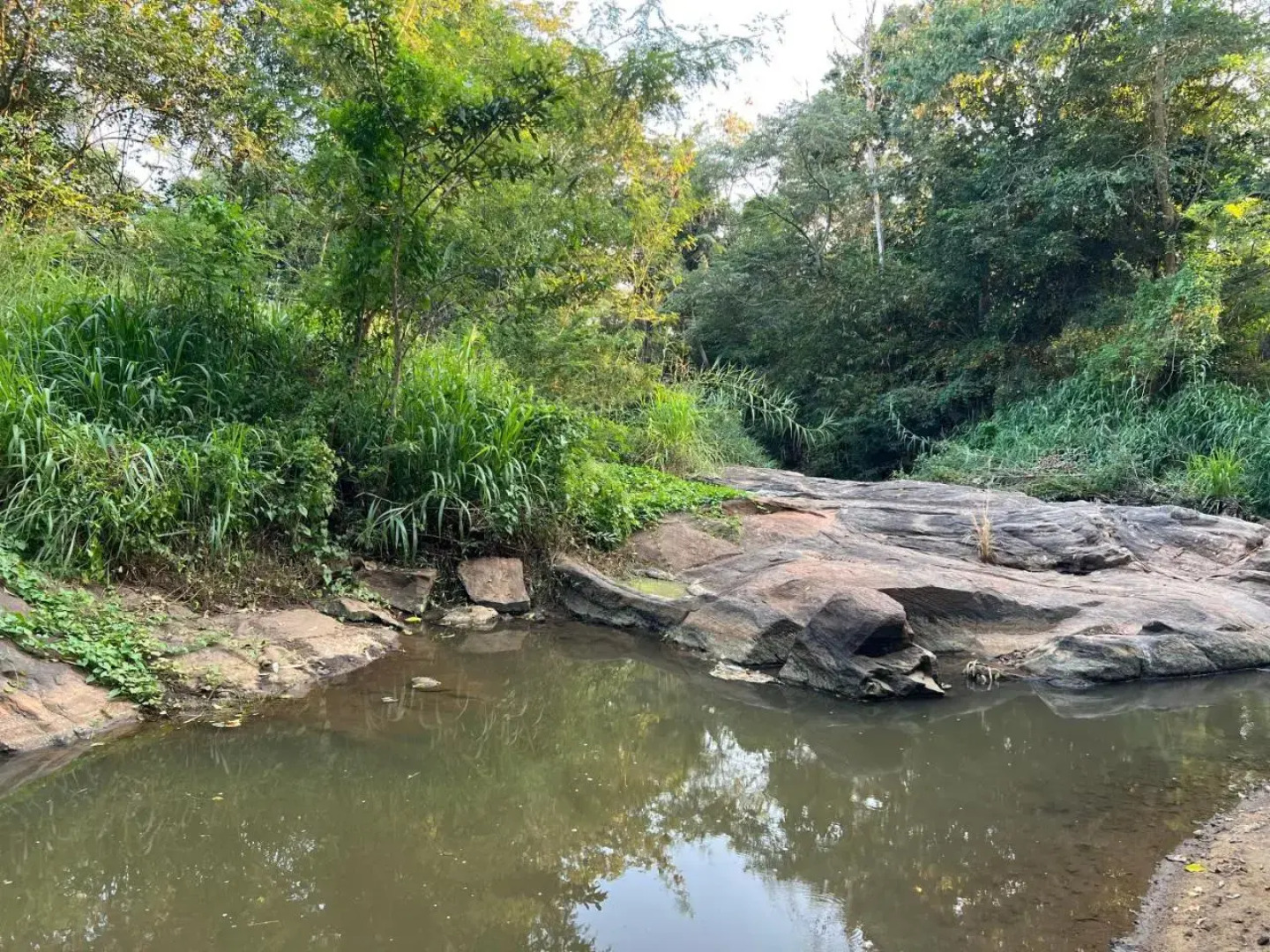 Walawa Blue Sapphire