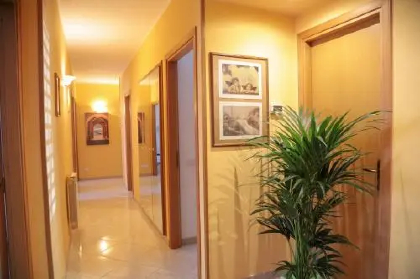 Magno Apartment