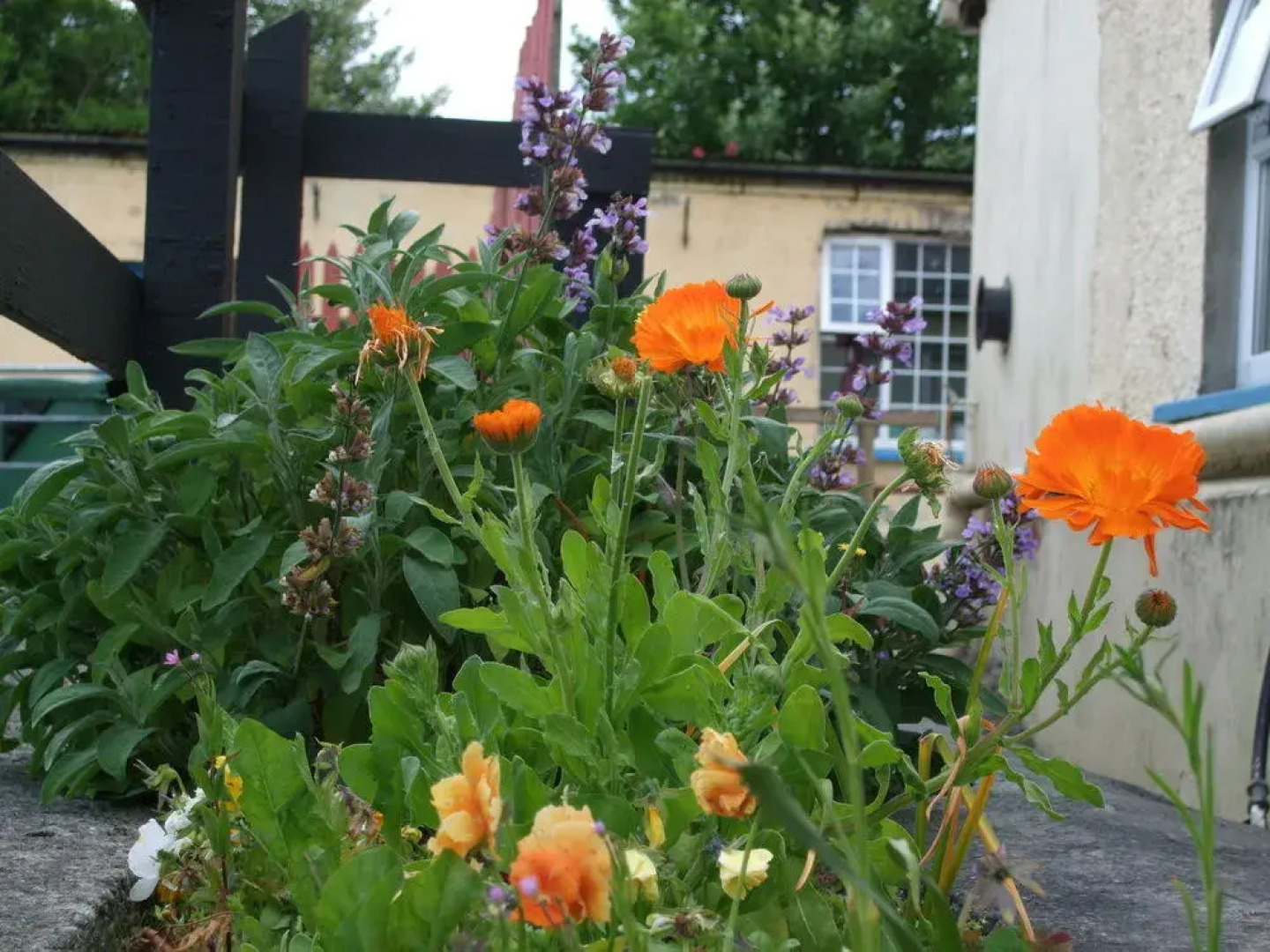 Homefield Rock Hostel