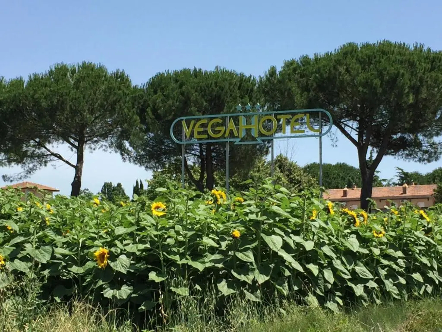 Vega Hotel Perugia