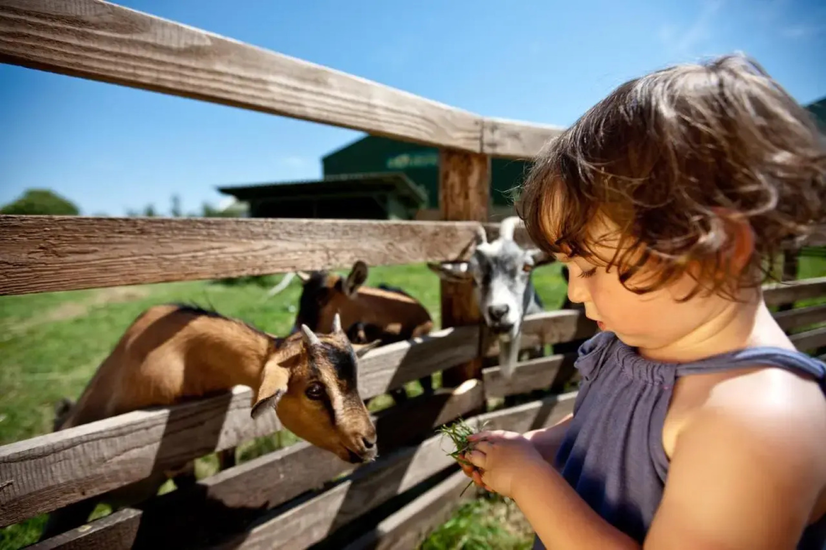 Pension Sonnengarten