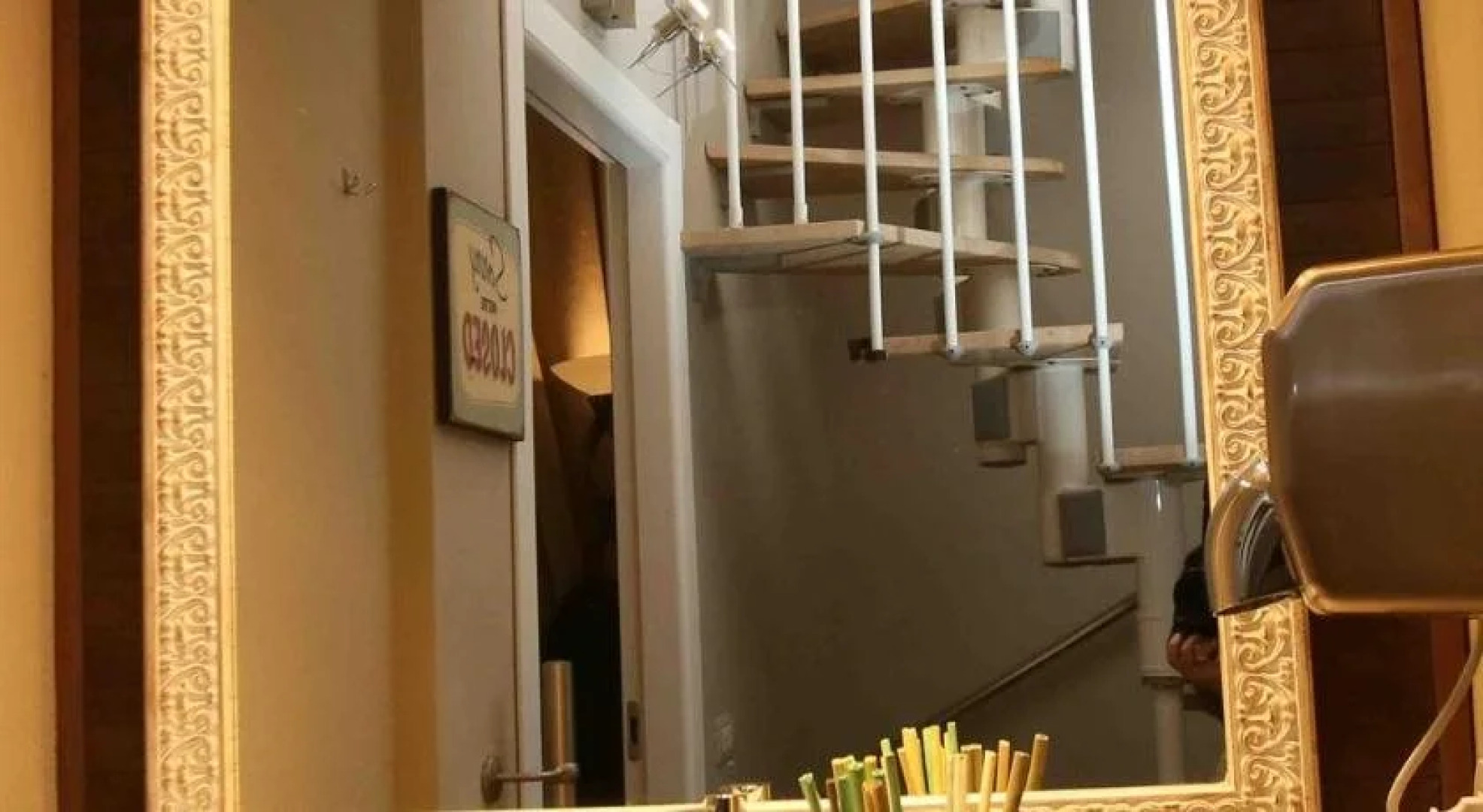 La casa di Mango e Pistacchio