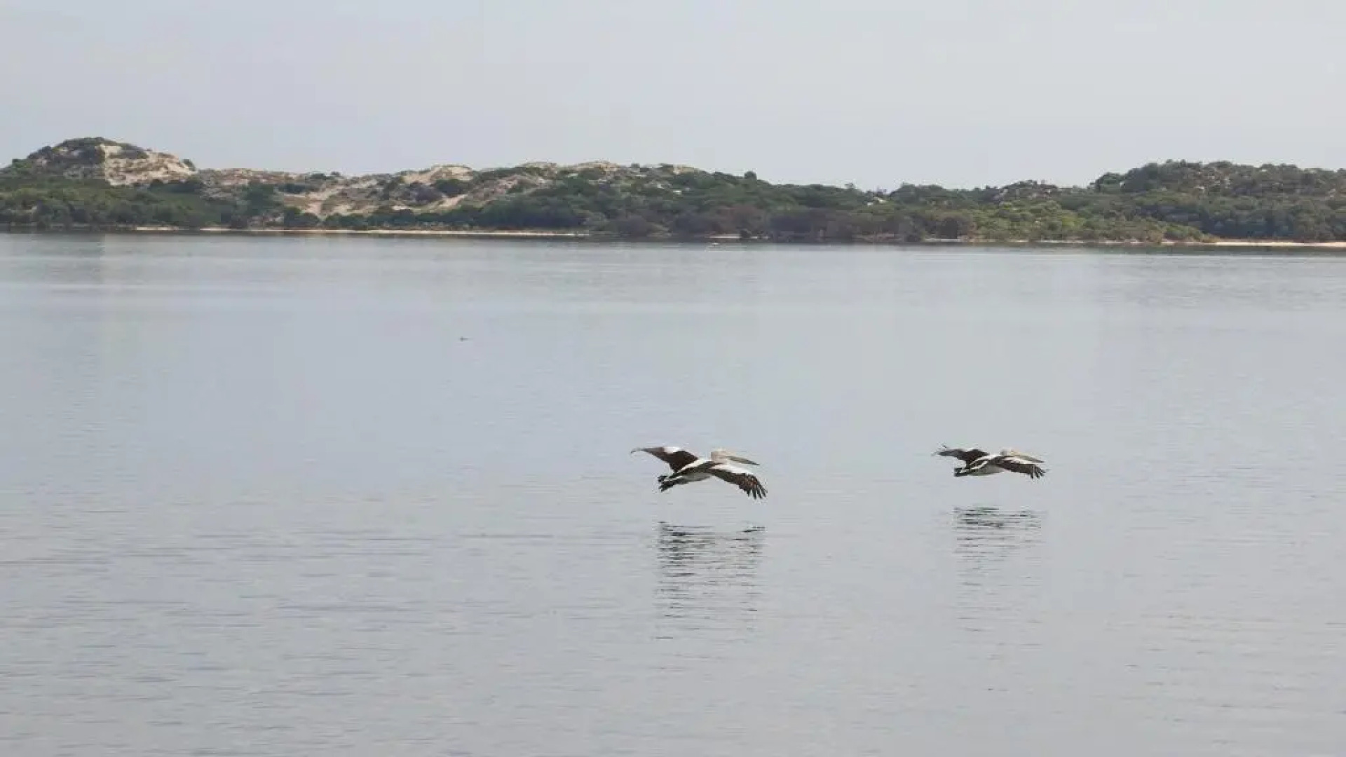 Australind Tourist Park