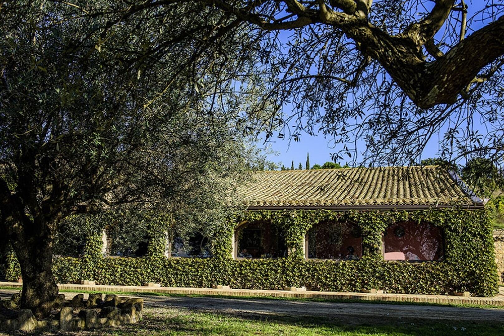Agriturismo Salemi