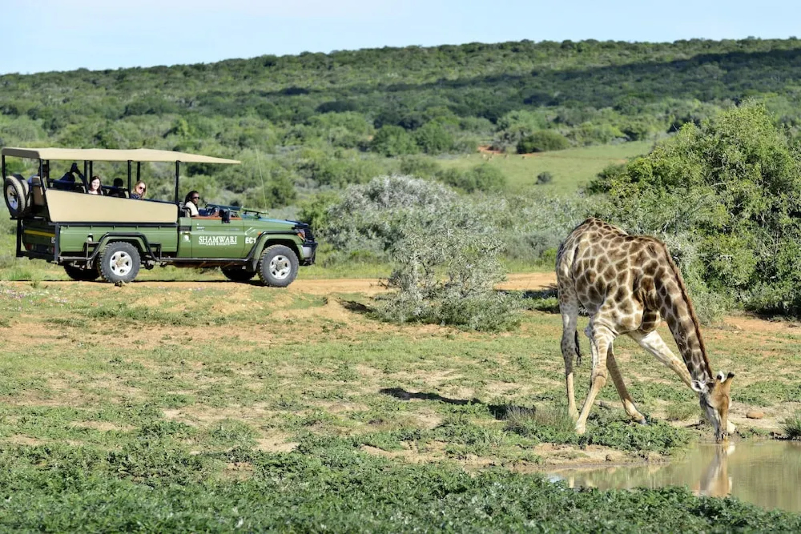 Shamwari Long Lee Manor
