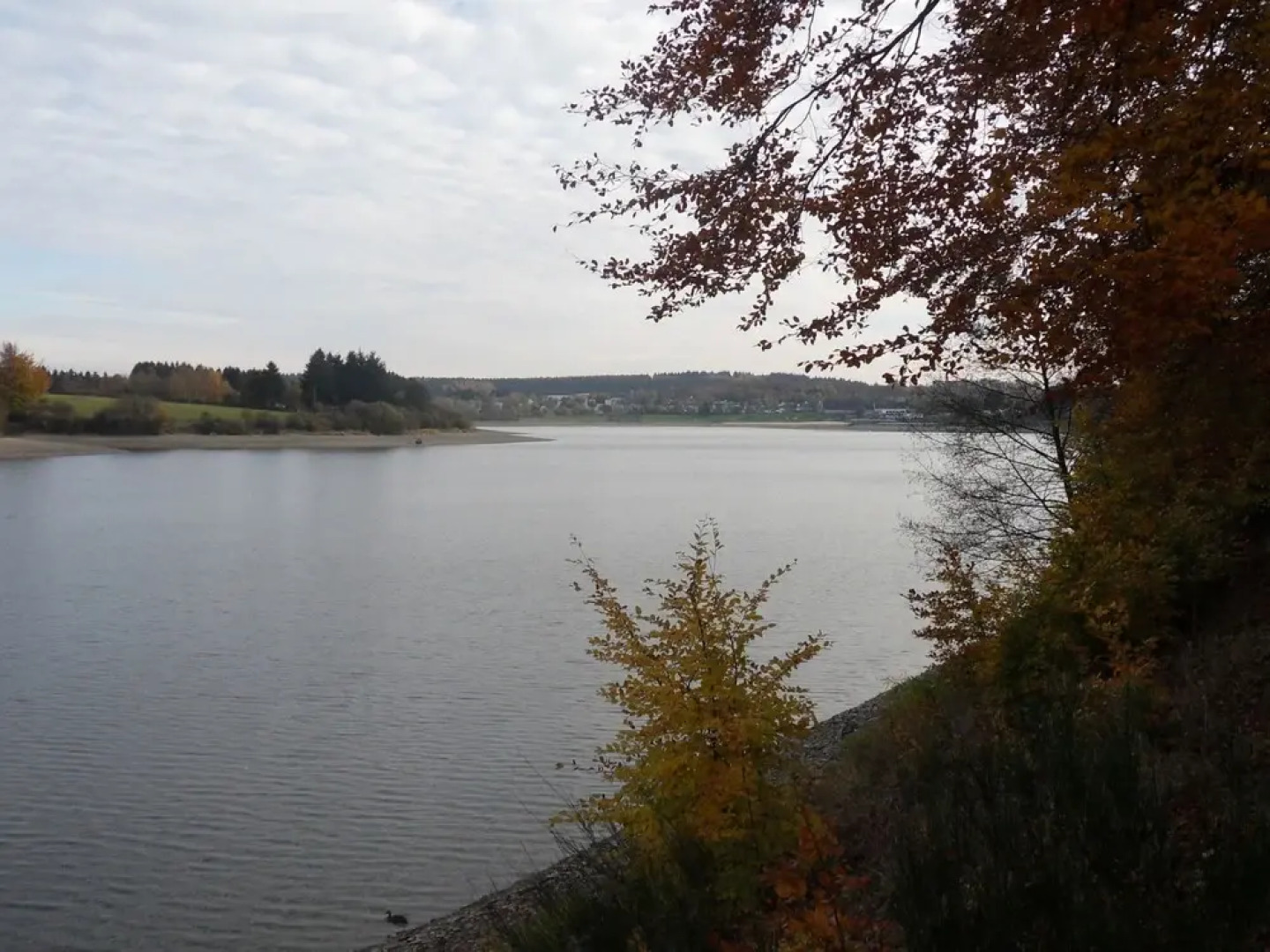 Detached Chalet With Views of the Lake of Butgenbach in the Middle of Nature