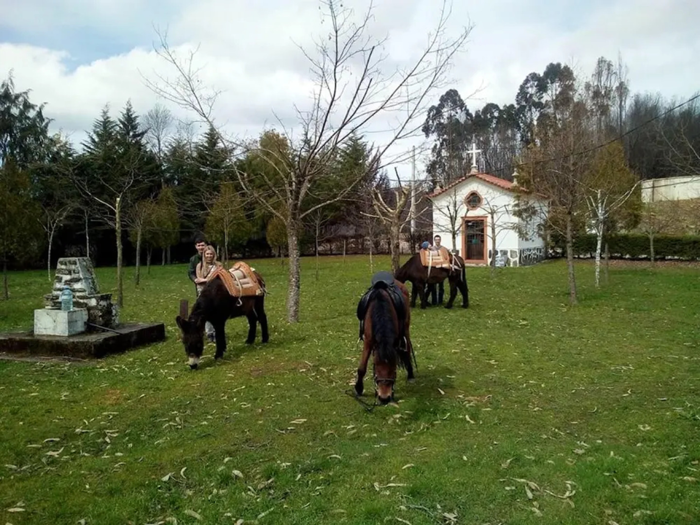 House With 2 Bedrooms in Góis, With Wonderful Mountain View, Enclosed Garden and Wifi