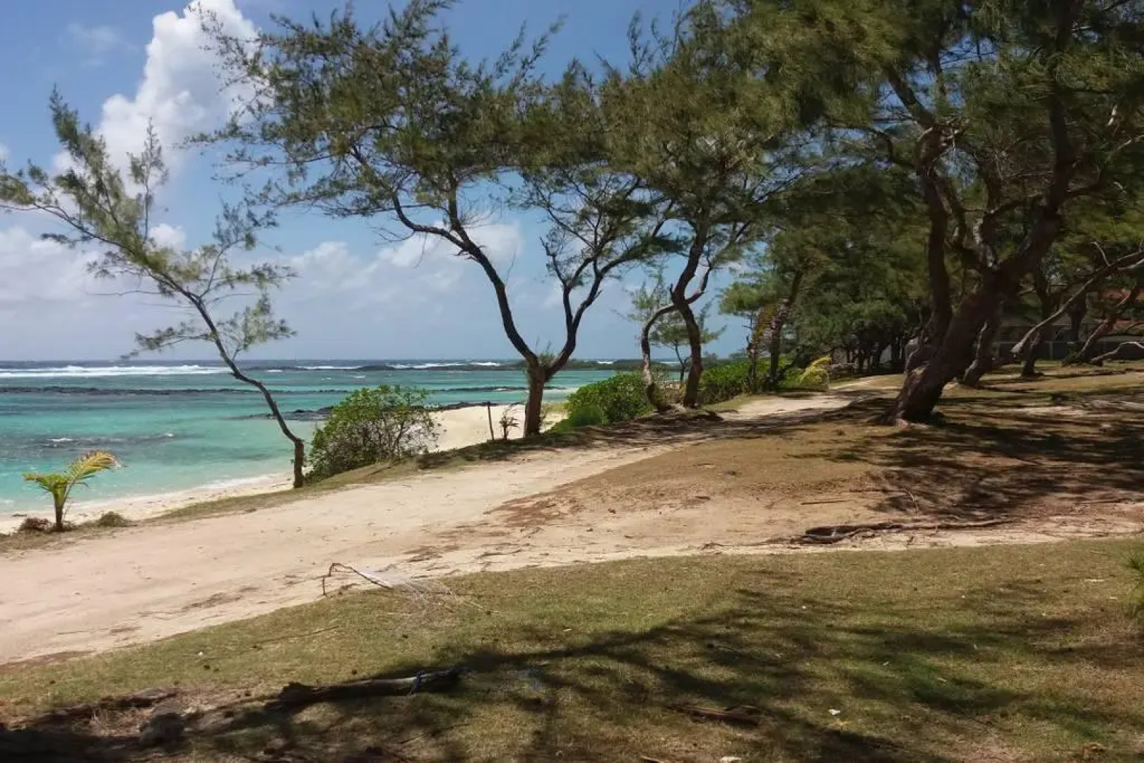 Element Bay Lux Beach Apartment