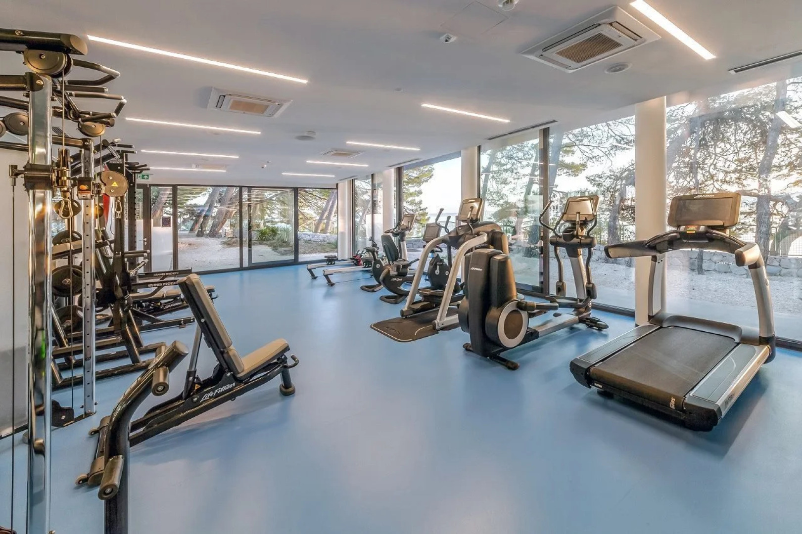 Bluesun Mala Berulia