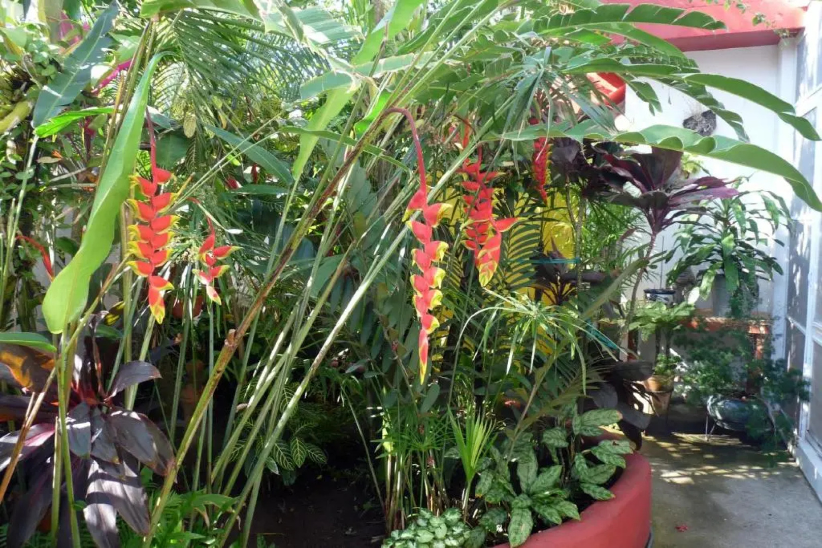 Casa de la Luz - Studio Apartment