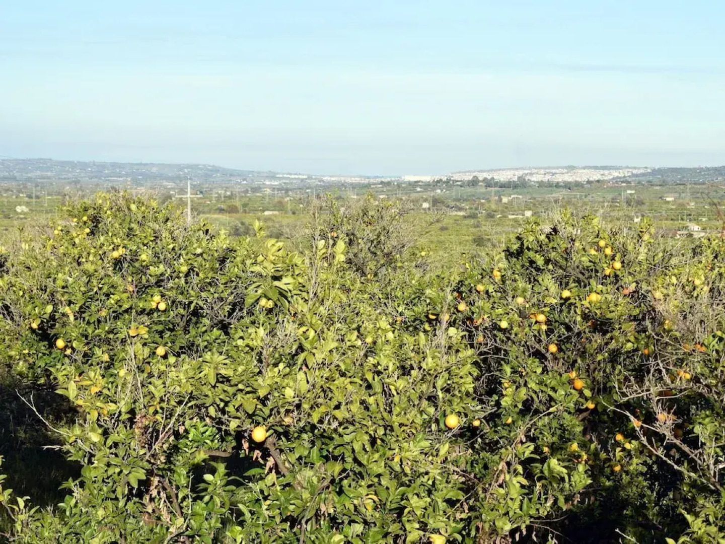 Modern Holiday Home in Francofonte With Private Pool