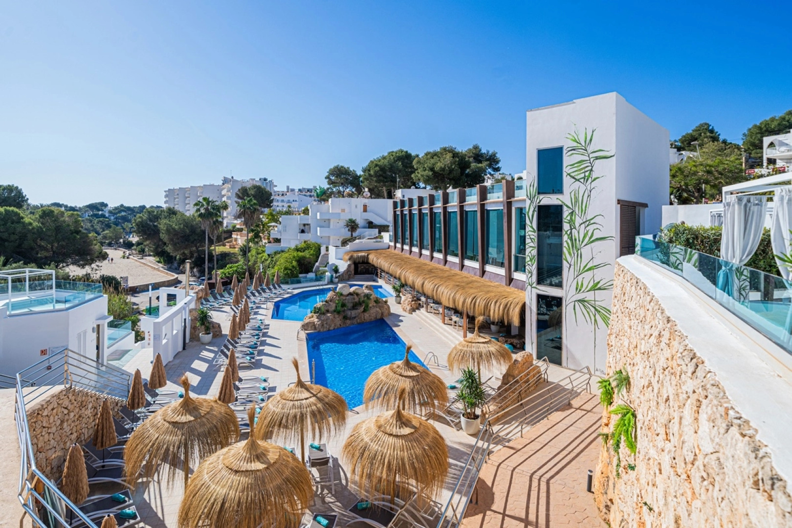 Marsenses Ferrera Blanca Adults Only