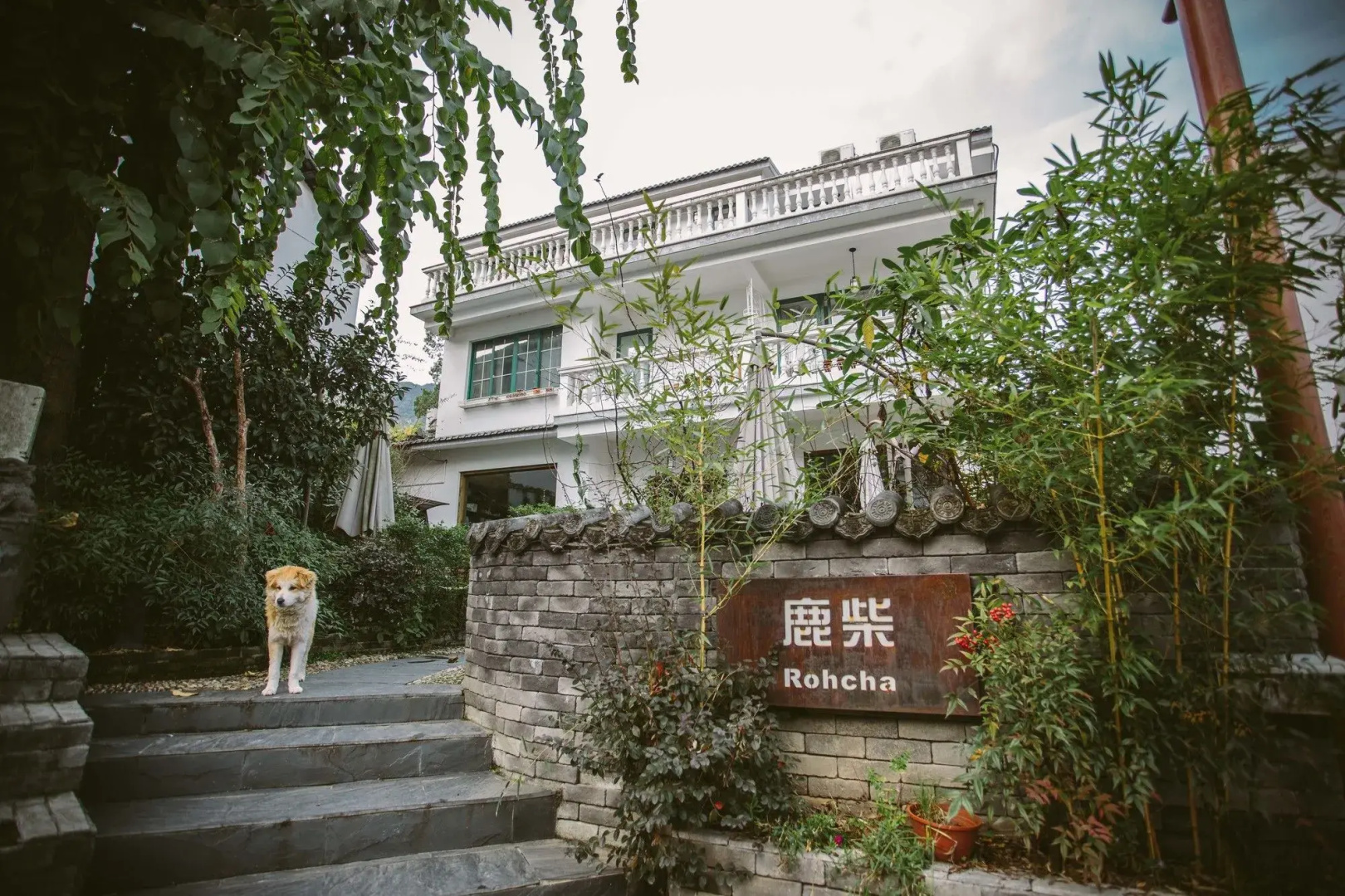 Hangzhou Rohcha Inn
