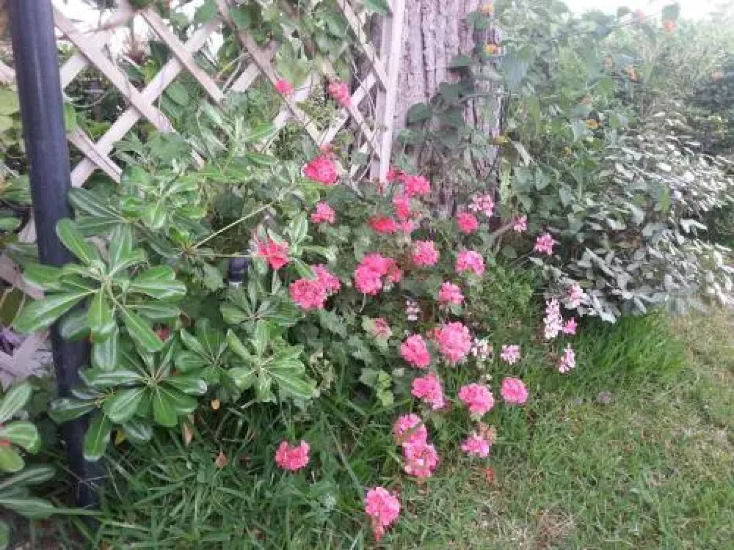 Villetta su canale navigabile