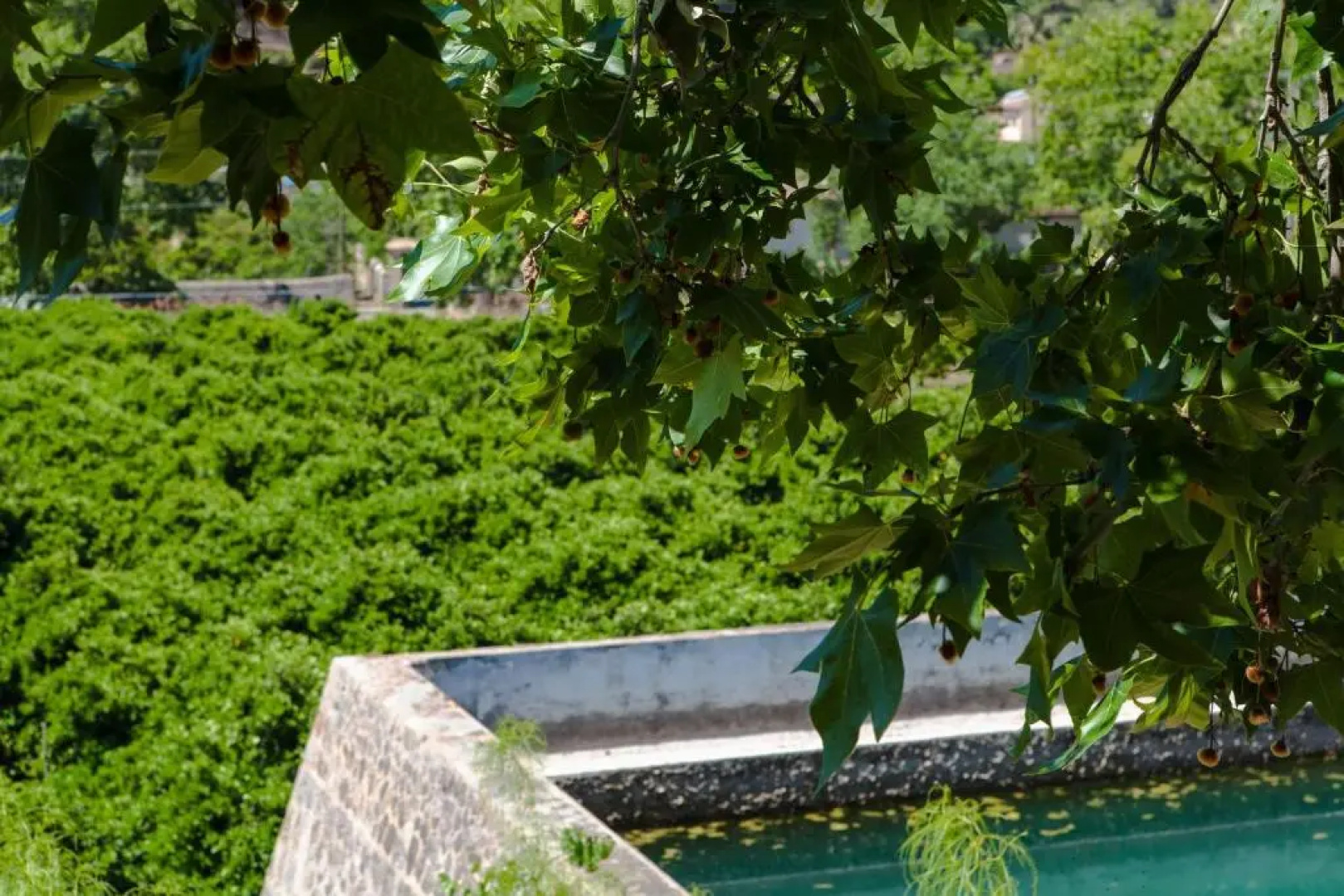 Agroturismo Son Galcerán