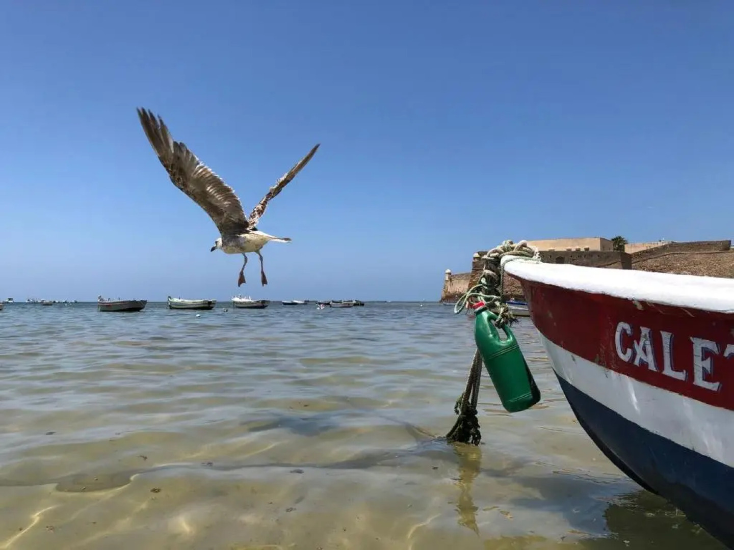 Planeta Cadiz Hostel
