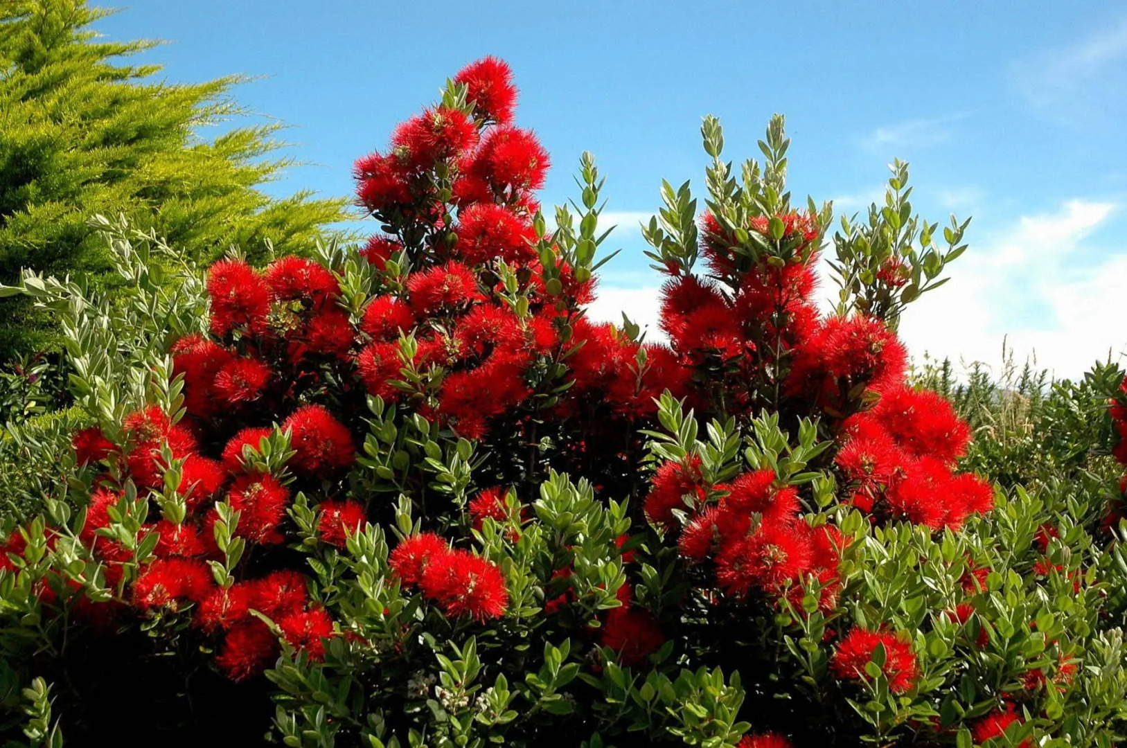 Shining Star Beachfront Accommodation