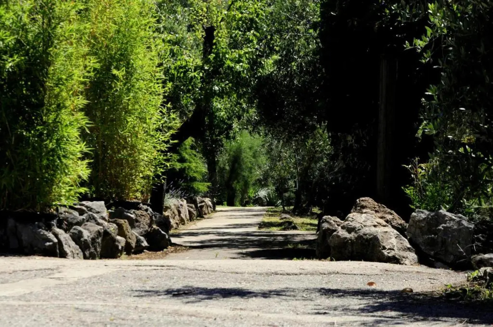 Tenuta Dei Giraldi Di Caloria