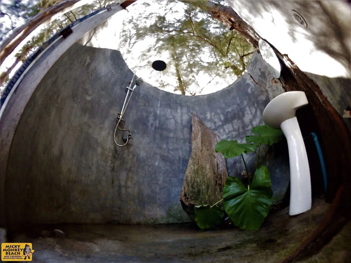 Micky Monkey Beach Hotel Phuket Maikhao Thailand