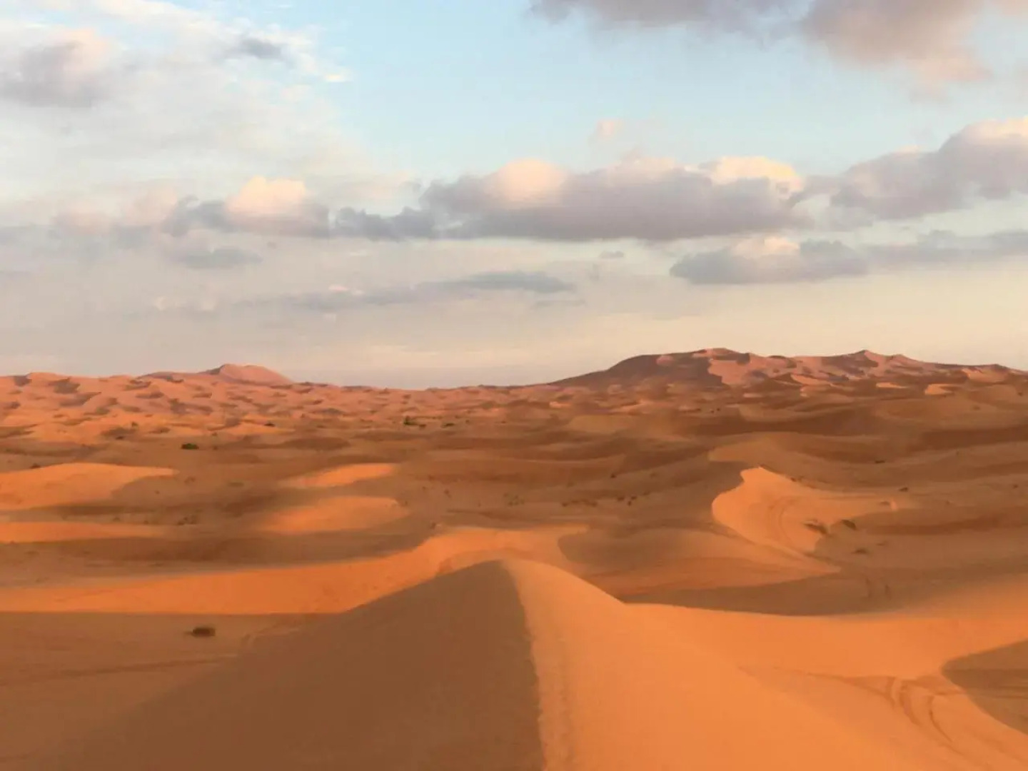 Nomadic Desert Camp Tours