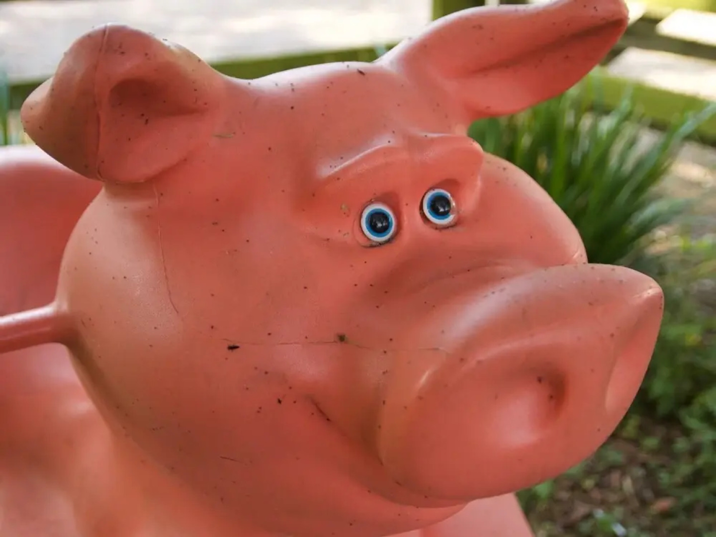 The Chestnuts Holiday Cottages