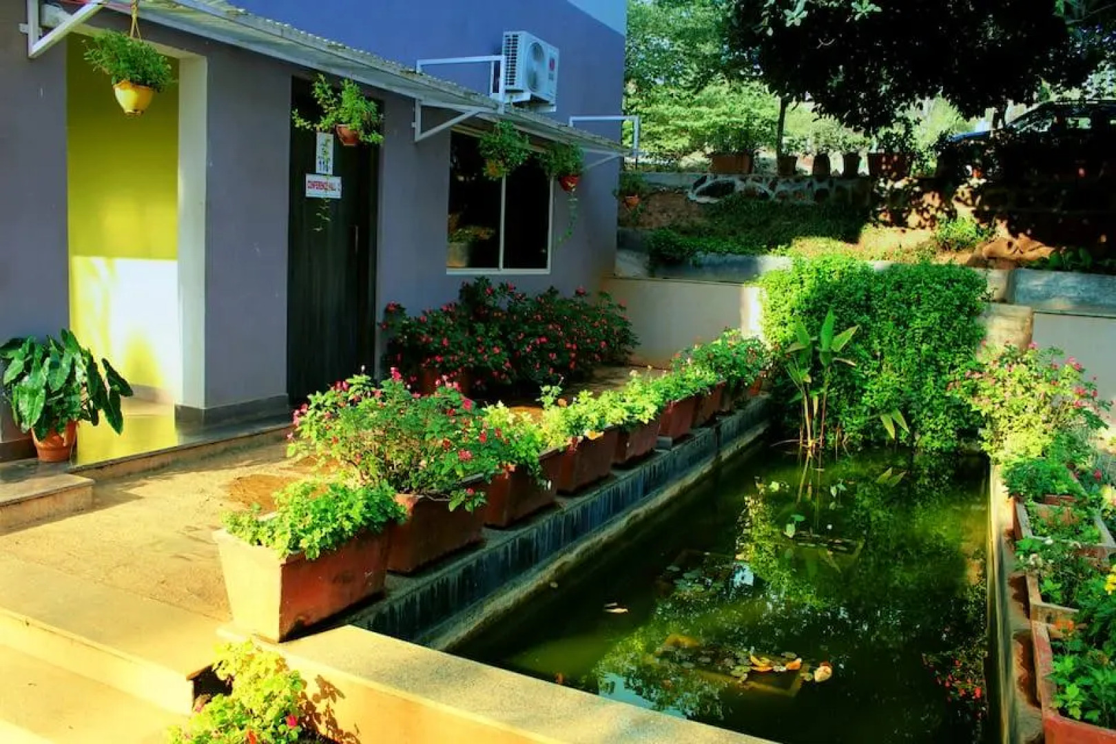 Viva Fernleaf Resort