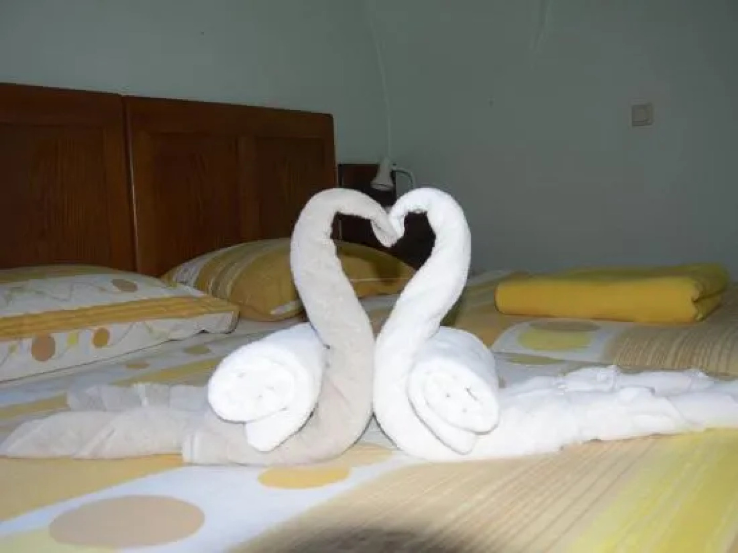 Wine Grower's Mansion Zlati Gric