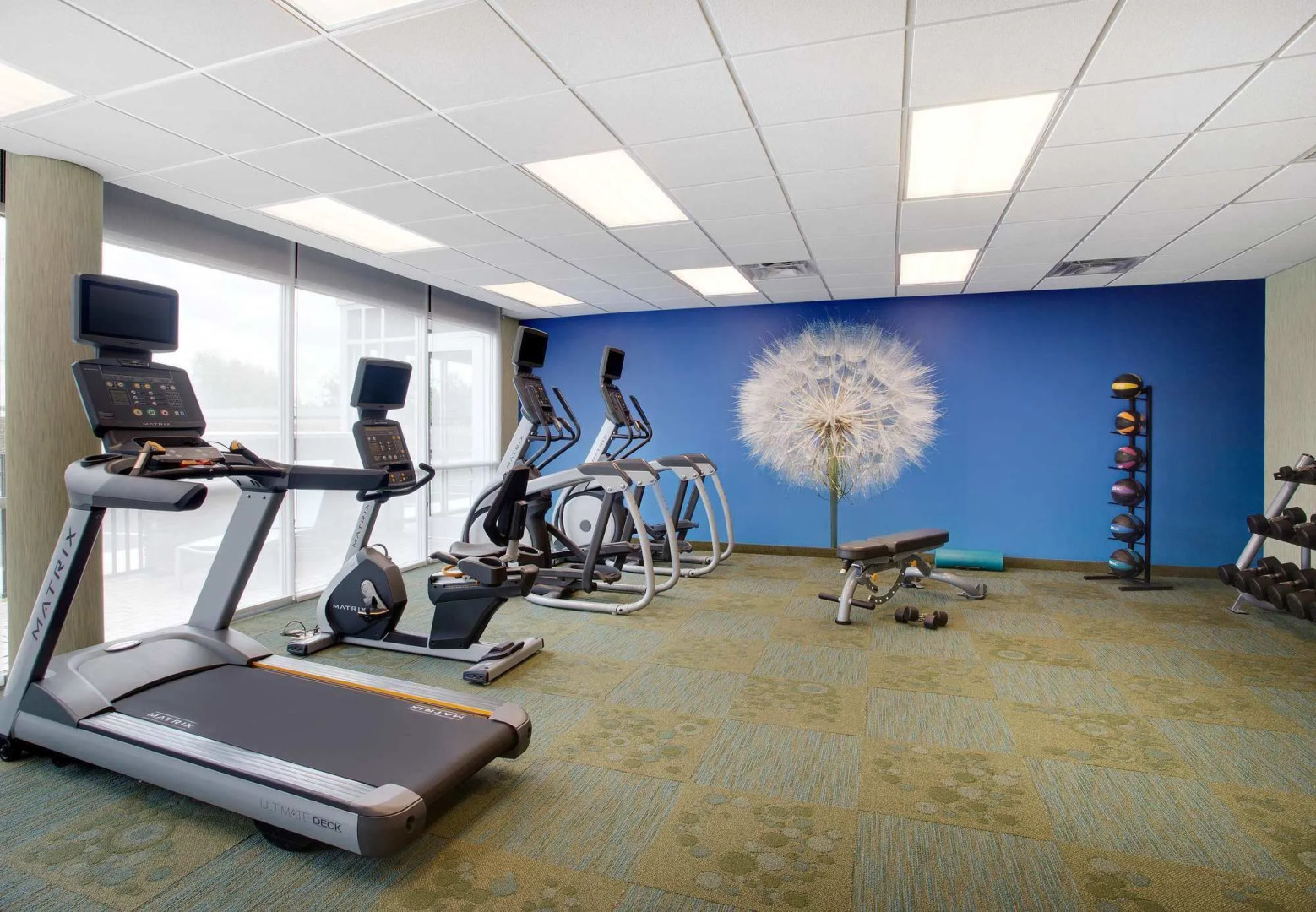 SpringHill Suites by Marriott Murray