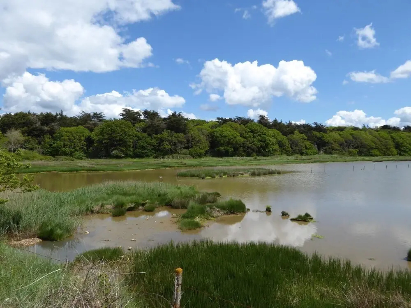 Harbour Life Dog Welcoming Yarmouth First Floor Apartment Sleeps 4