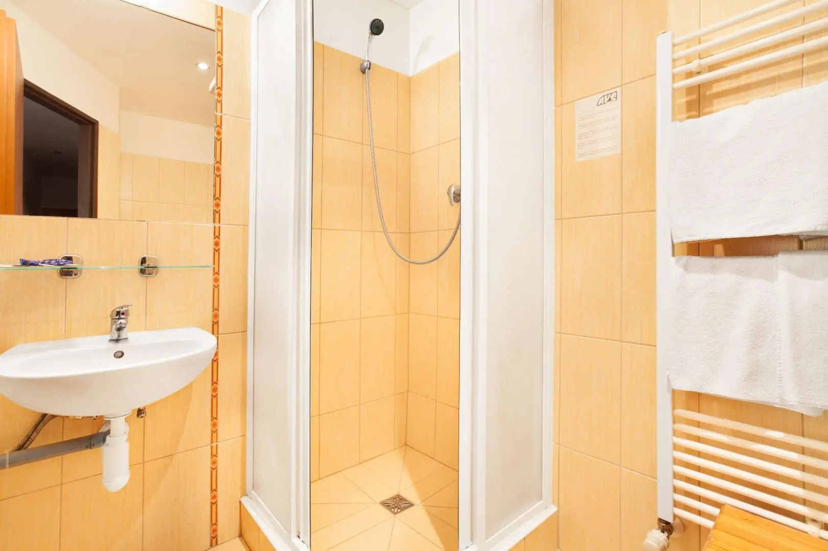 Apartment House Zizkov