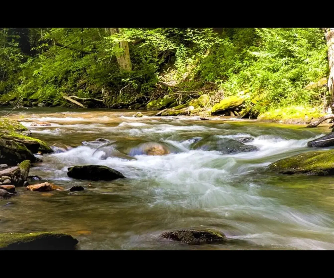 Smoky View Cottages & RV Resorts