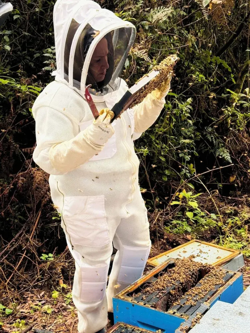 Te Popo Gardens Rural Retreat