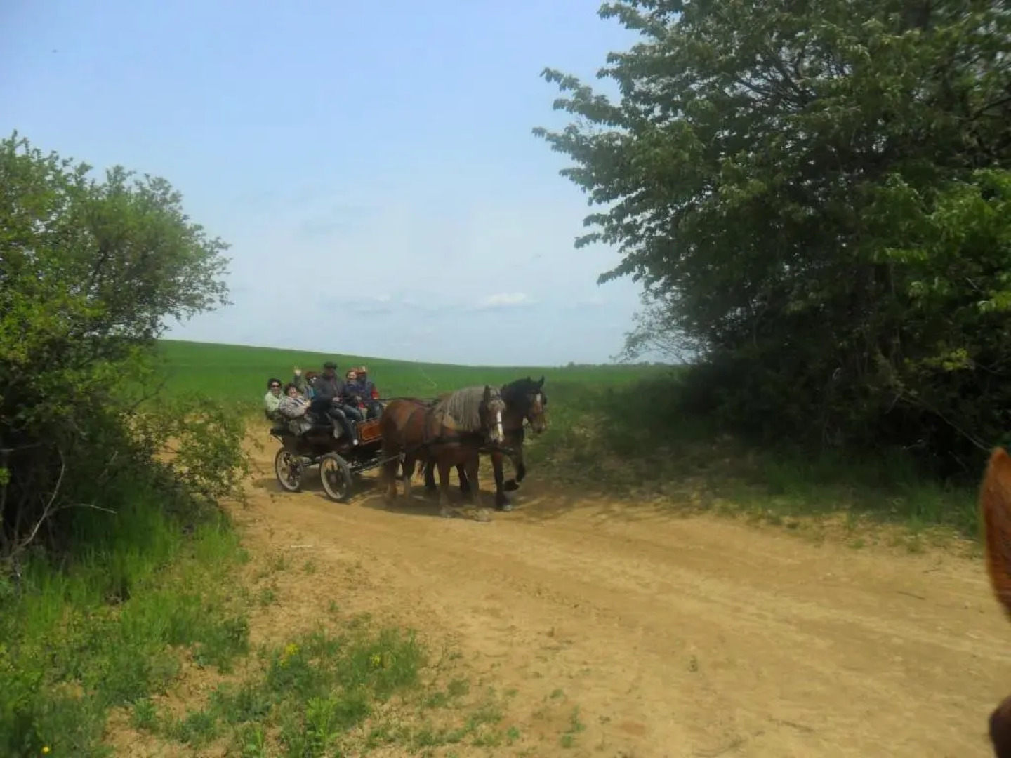 Gadányi Vendégház és Lovarda